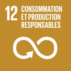 Carré ocre pour l'ODD 12. Pictogramme représentant le signe de l'infini combiné à la flèche symbolisant le recyclage, avec le titre « 12 Consommation et production responsables ».