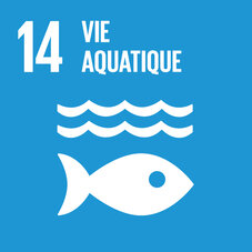 Carré bleu clair pour l'ODD 14. Pictogramme d'un poisson, avec le titre « 14 Vie aquatique ».