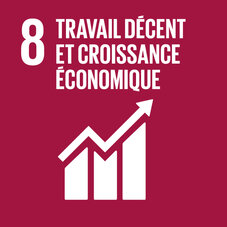 Carré bordeaux pour l'ODD 8. Pictogramme représentant une flèche zigzaguant vers le haut, avec le titre « 8 Travail décent et croissance économique ».