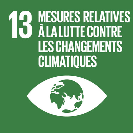 Carré vert pour l'ODD 13. Pictogramme représentant la Terre au centre d'un œil, avec le titre « 13 Mesures relatives à la lutte contre les changements climatiques ».