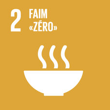 Carré ocre pour l'ODD 2. Pictogramme représentant une soupe fumante, avec le titre « 2 Faim "zéro" ».