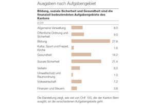 Graphik der Ausgaben nach Aufgabengebiet: die höchsten Ausgaben sind für Bildung, Soziale Sicherheit und Gesundheit 