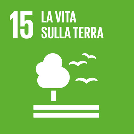 Quadrato verde chiaro OSS 15. Titolo all’interno del pittogramma con un albero e degli uccelli in volo «15 LA VITA SULLA TERRA». 